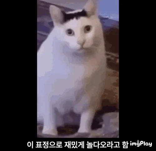 \여보, OOO가 보자는데 잠깐 나갔다와도 돼???\